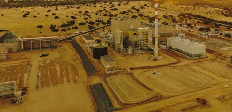 Biomass Power Plant